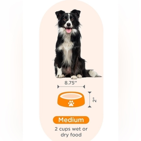 Outward  Hound Slo Feeder Fun Bowl Dog Dish - Picture 5 of 5